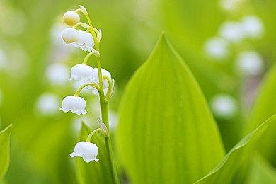 Steam新一周销量榜：《消逝的光芒：困兽》打败《无主之地4》登顶